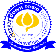 Assam Down Town University