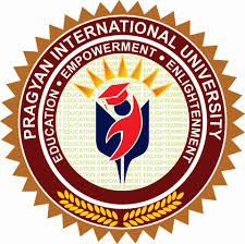 Pragyan International University